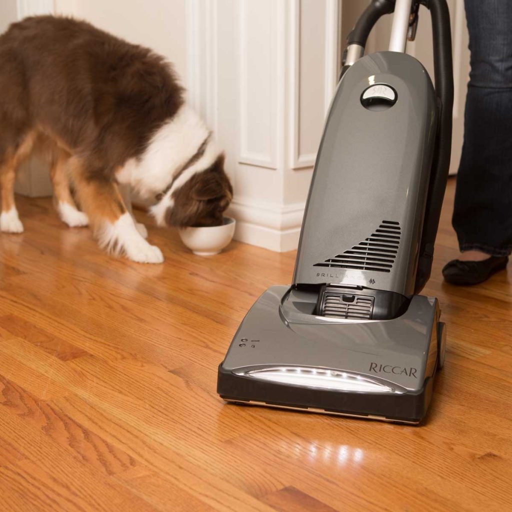 Riccar Roam Cordless Broom Vacuum Willett Vacuum
